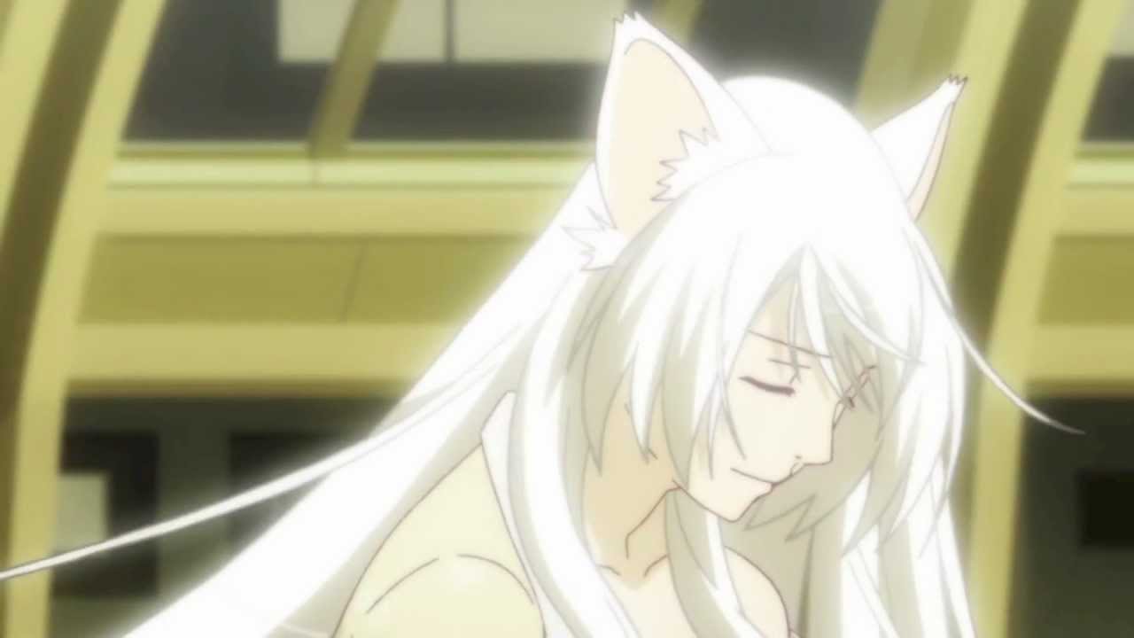 Bakemonogatari AMV - Tigerlily