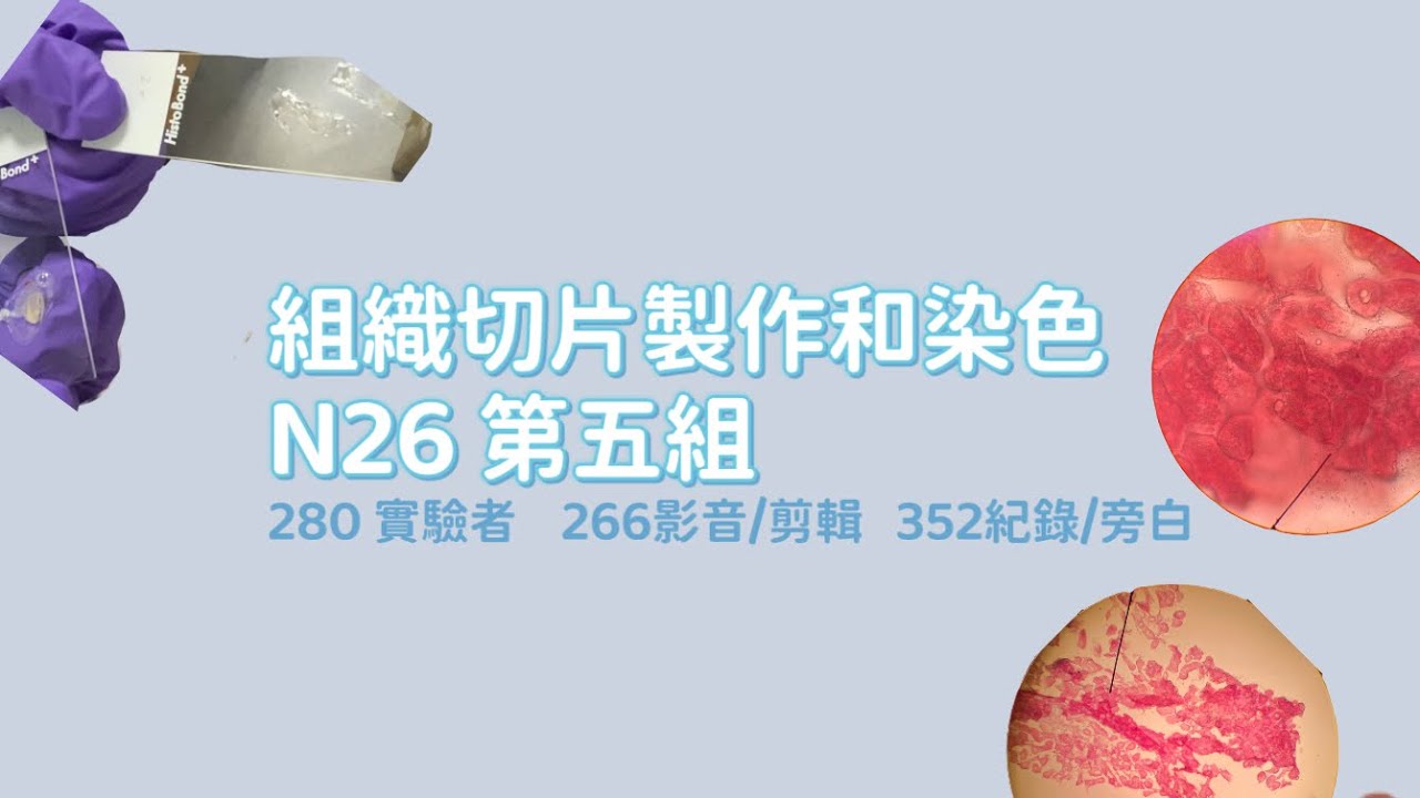 組織切片製作和染色