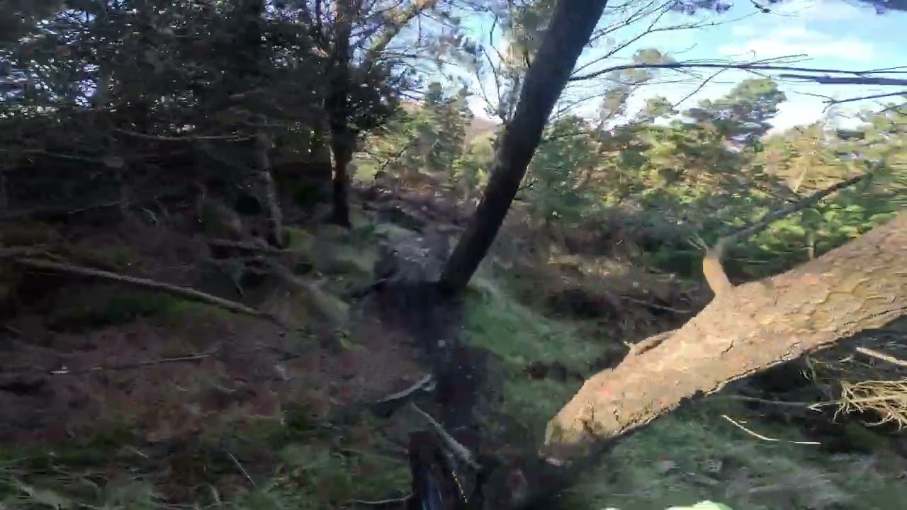 Tollymore MTB 28/02/2026 finally some sun 