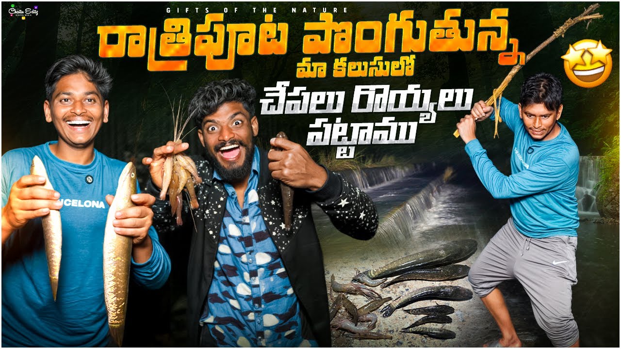 రాత్రిపూట మా కలుసులో చేపలవేట🐟 || కొర్రమీనులు రొయ్యలను దుమ్ము దుమ్ముగా పట్టాము😍