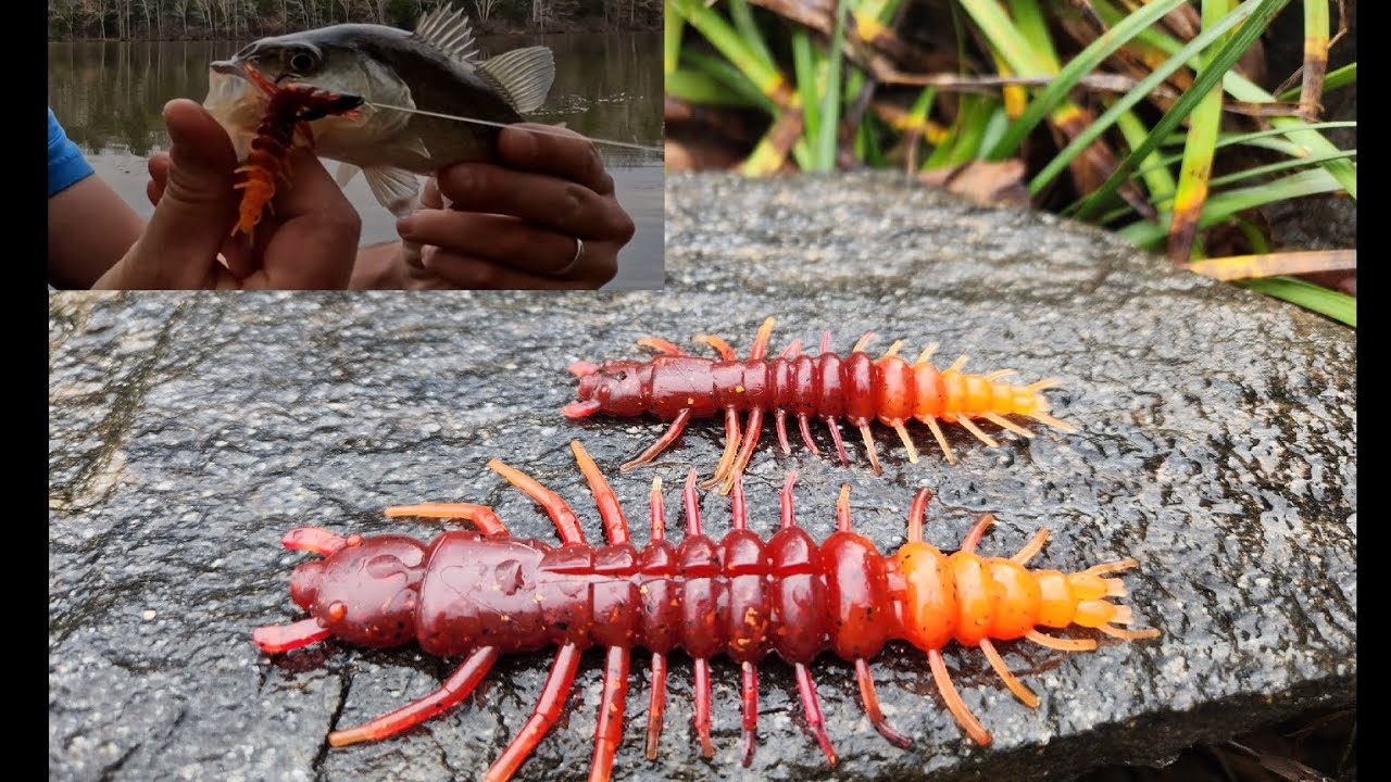 Nikko Hellgrammite: How I Rig & Catch More Bass with These Soft Plastics!