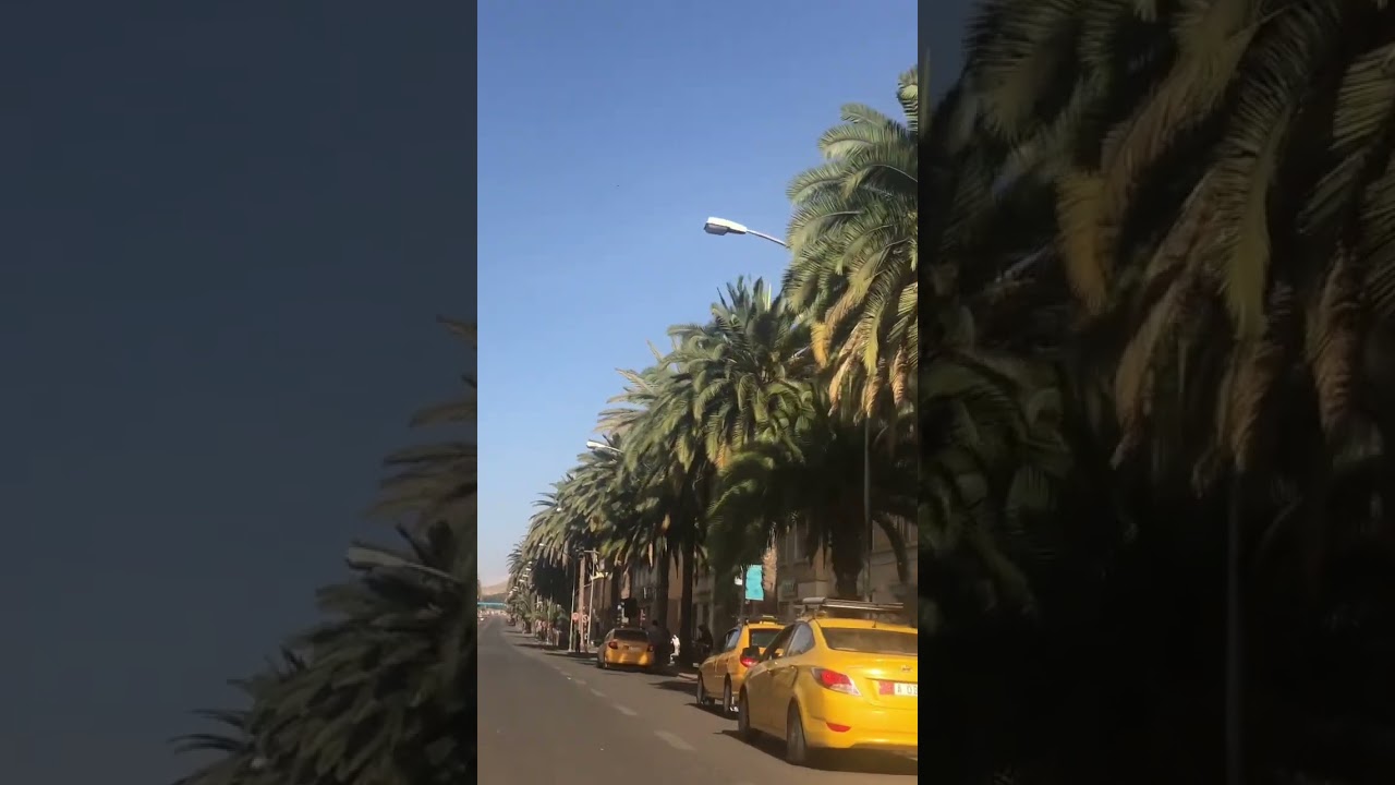 This is Eritrea 2022 #eritrea #Asmara #habesha