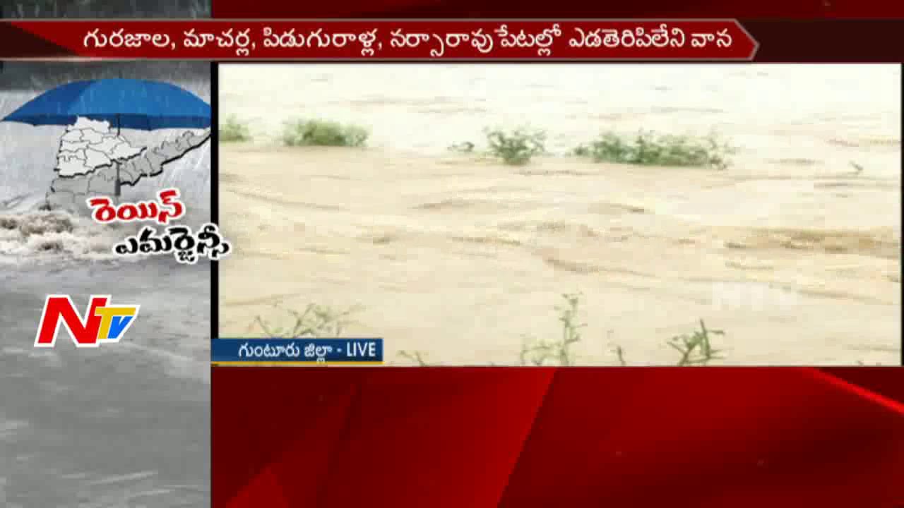 Flood Water Destroys Cotton and Mirchi Crops in Guntur District || NTV