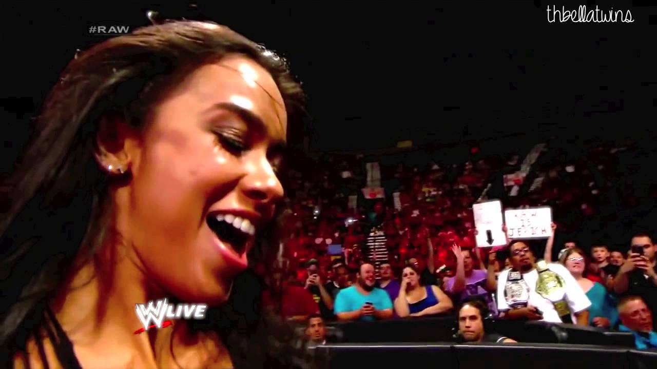 AJ Lee/Nikki Bella/Paige/Brie Bella - Girls