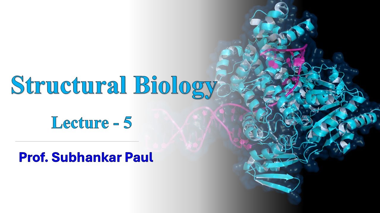 Structural Biology Lecture 5 II Molecular Chaperones II Levinthal's Paradox