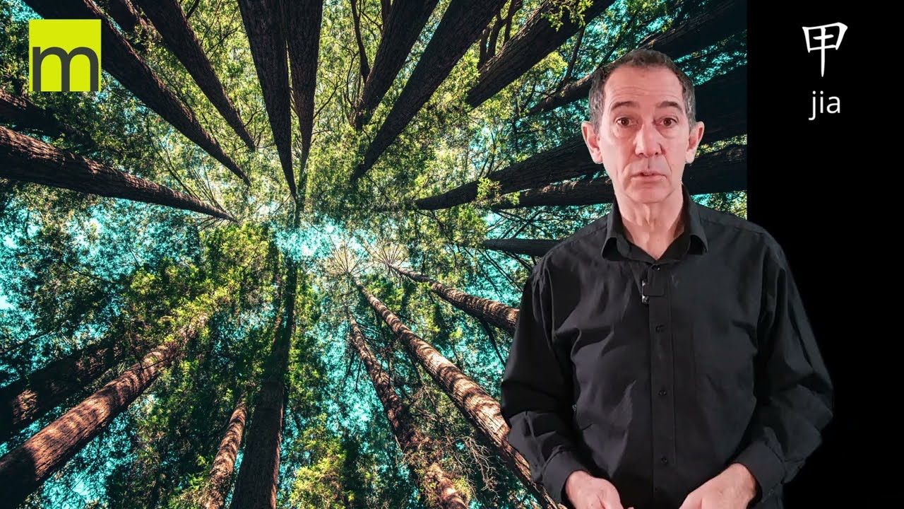 Maitre du Jour bois yang Jia