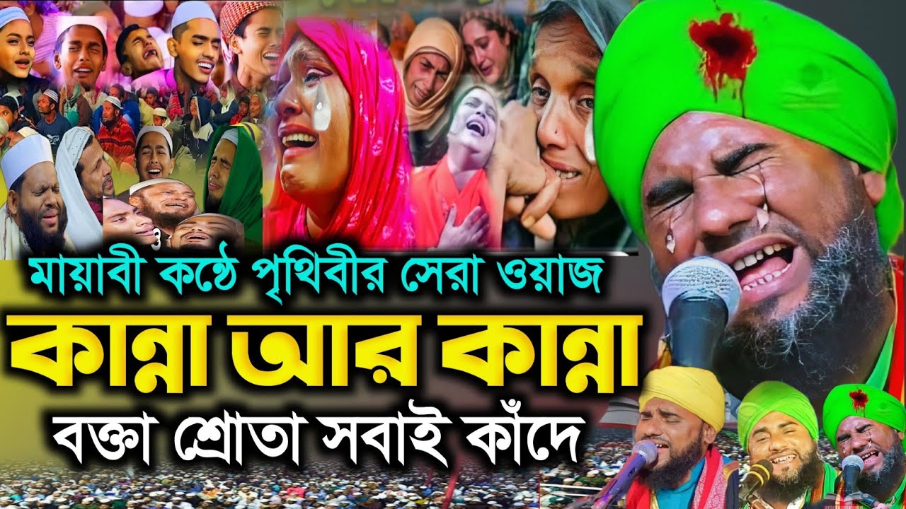 আমিনুদ্দিন সাহেব মায়াবী কন্ঠে কান্নাভরা ওয়াজ | Aminuddin Saheb waz 2024 | Aminuddin Saheb jalsa 2024
