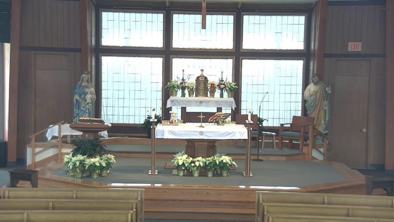 Sunday 10am Daily Mass