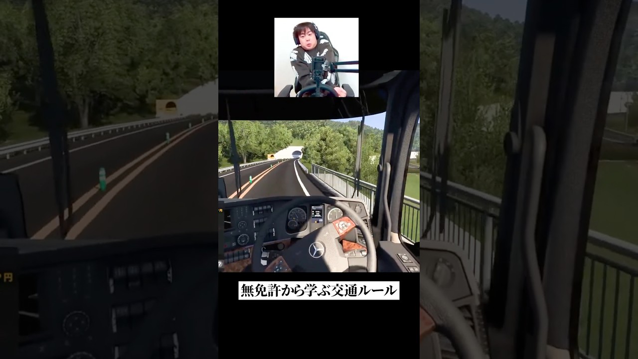 無免許の配信者から学ぶ正しい交通ルール#3 [EURO TRUCK2]