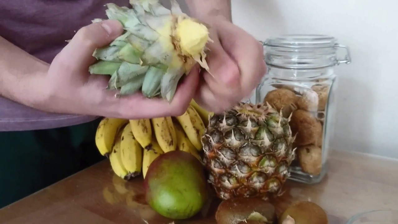 Saksıda ananas yetiştirme, Ananas k&ouml;klendirme (KOLAY)