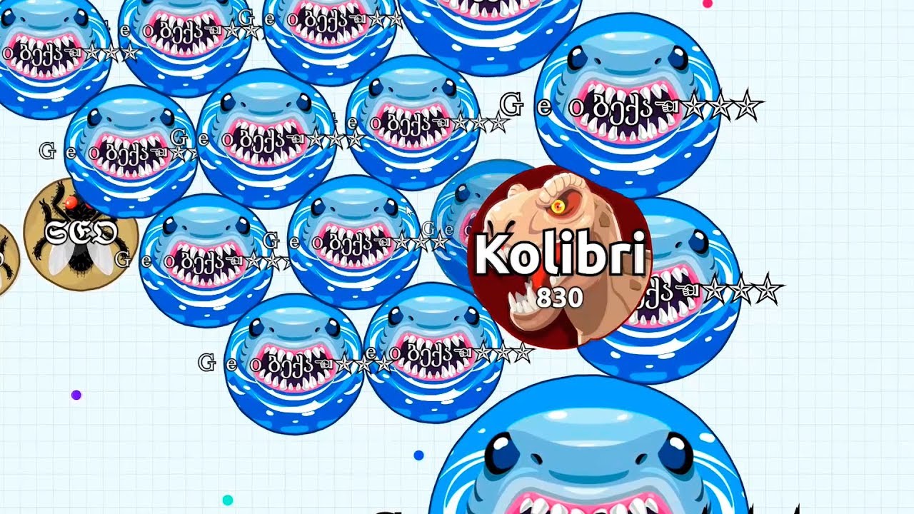 INSANE AGARIO SOLO FIGHTS ( Agar.io Solo Gameplay )