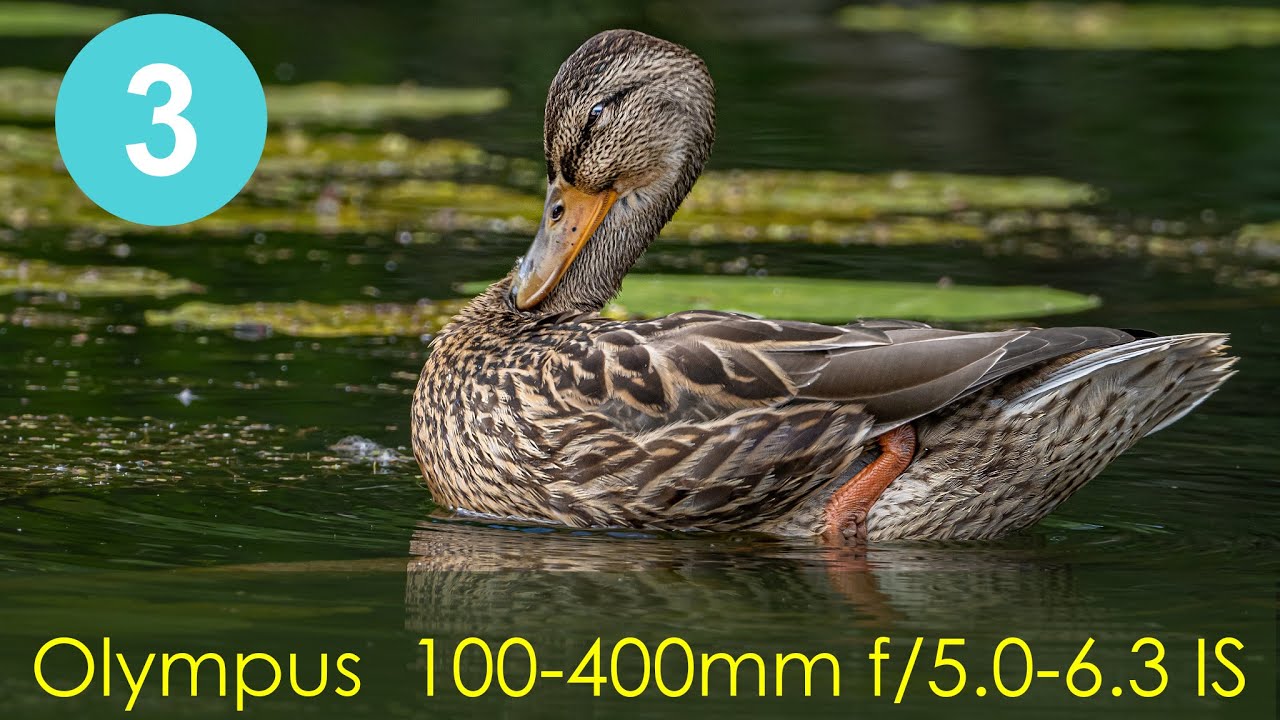 Olympus M.Zuiko Digital ED 100-400mm f/5.0-6.3 IS  Часть 3 ( Качество изображения)