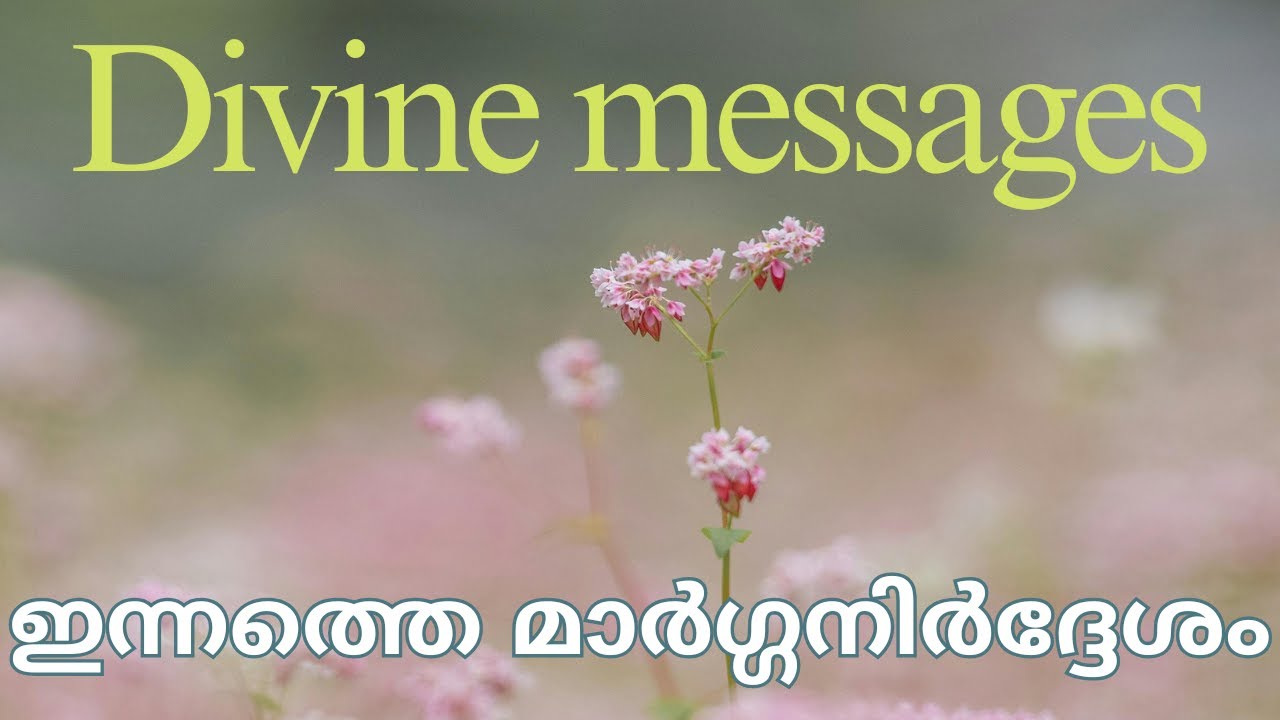 🌅ഞായറാഴ്ച JAN 25 2026 👑 ടാരറ്റ്  ഗൈഡൻസ് 🧿🎋 #malayalam #sunday #tarot #2026