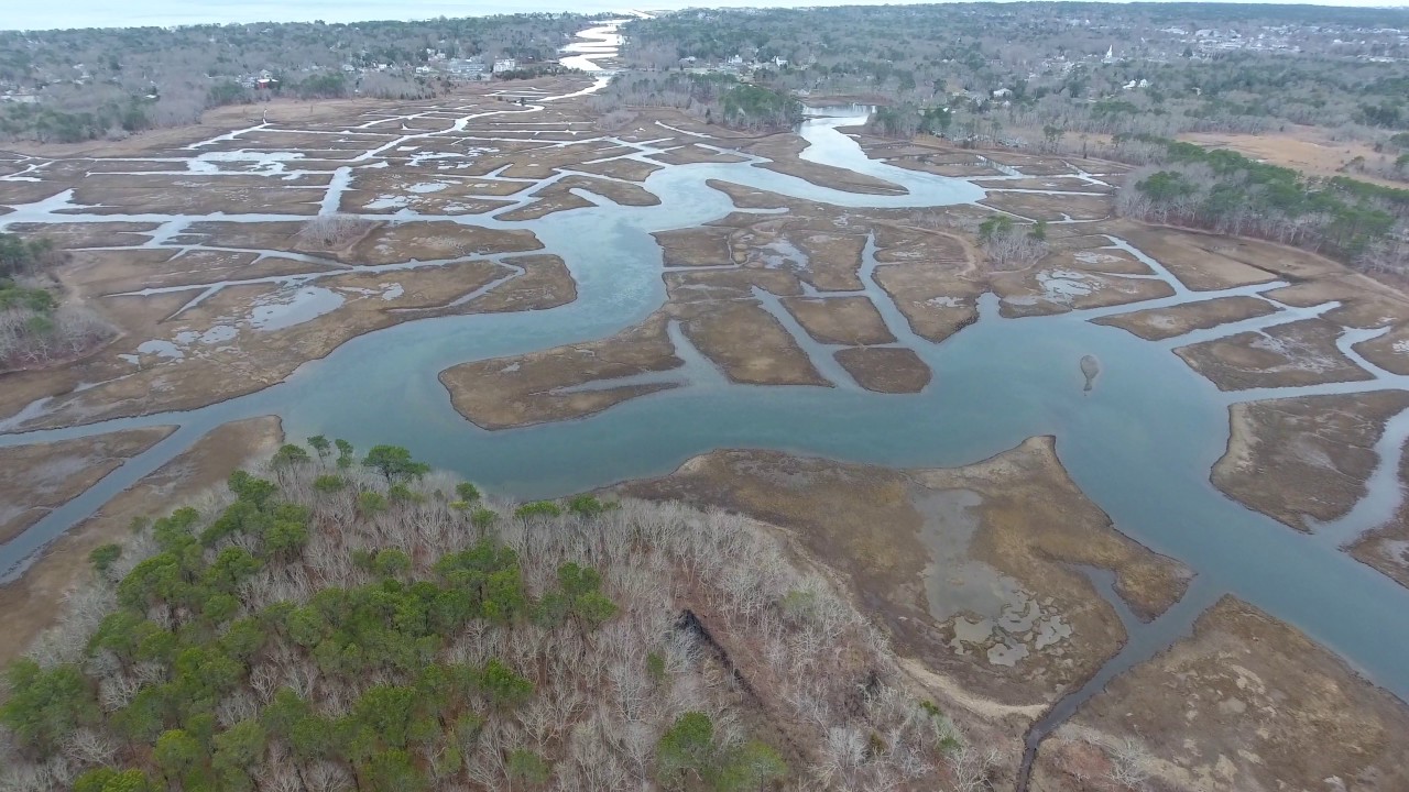 Bell's Neck Conservation Area Aerials