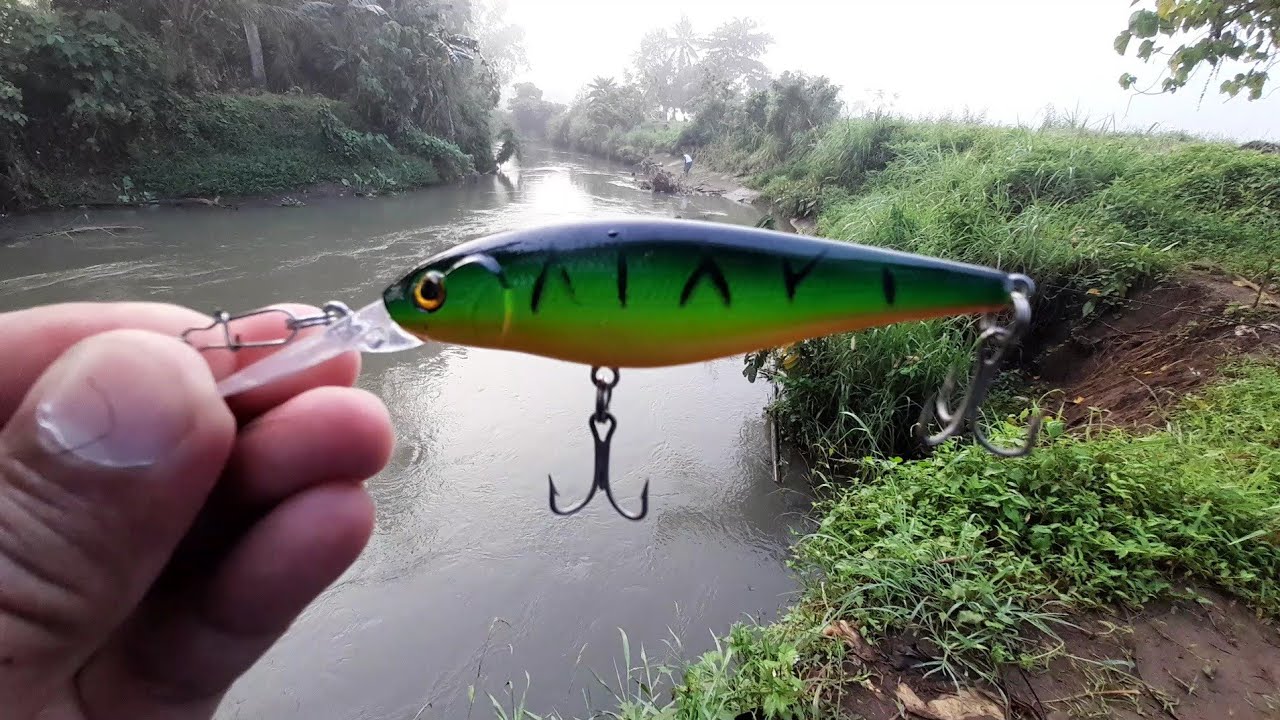 Effective Lure for Black Bass in a Deep Water.