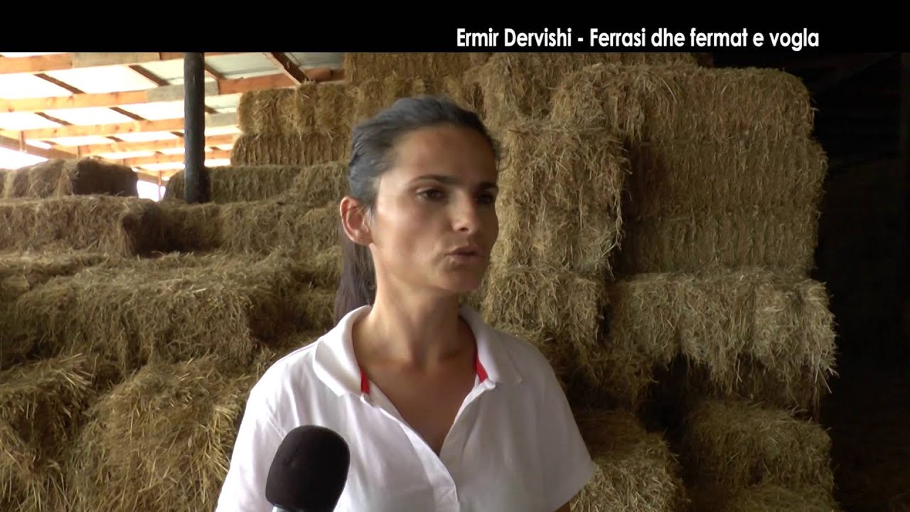 Veri - Jug - Ermir Dervishi, Ferrasi dhe Fermat e Vogla