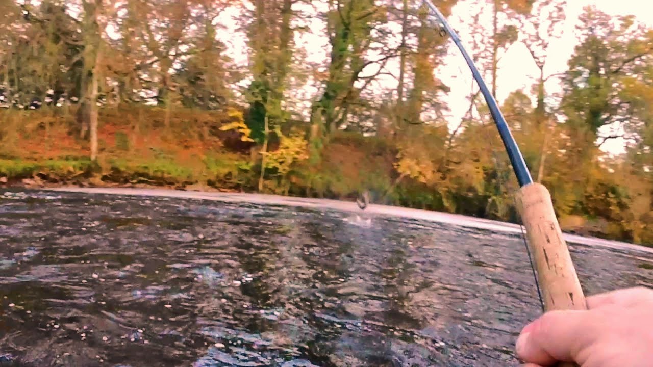 Ловля лосося в Северной Ирландии. Последний заброс (верьте в удачу)