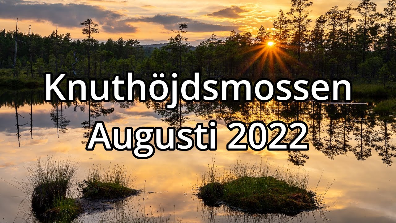Knuthöjdsmossen augusti 2022