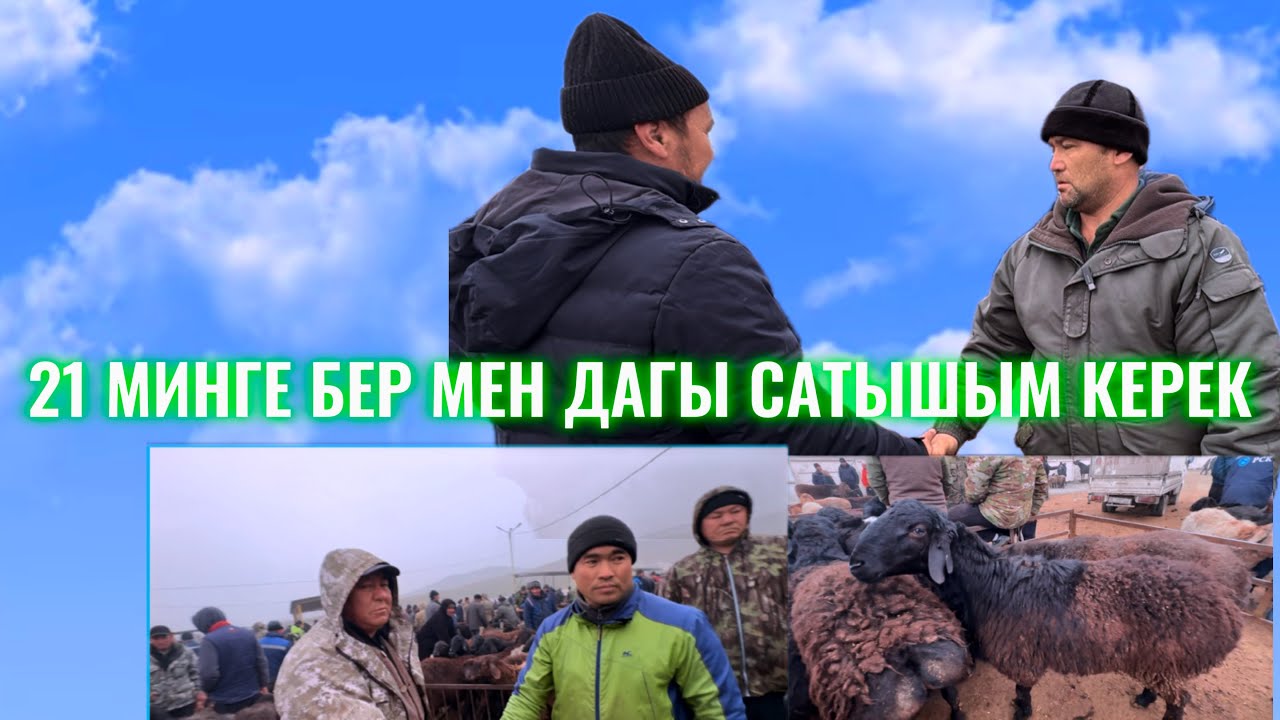 КОЙ КОЧКОР БААЛАРЫ ОШ ОБЛ АРАВАН РАЙОН