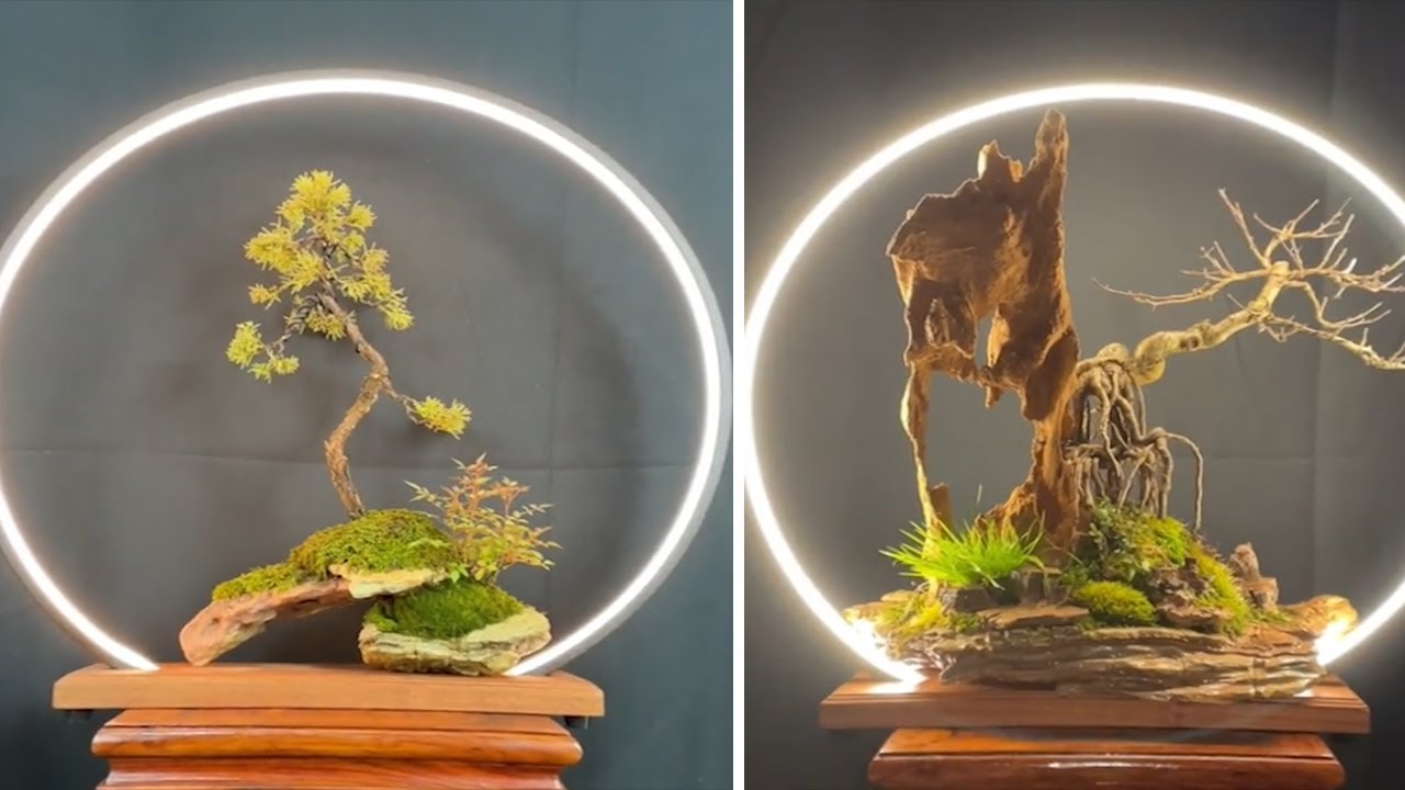 Synthesize ideas for absolutely beautiful bonsai miniatures from professional artists 