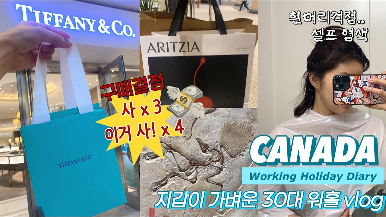 30대 워홀러의 브이로그 | 음식 축제, 뿌염&흰머리 셀프염색, 캐나다 쇼핑템 공개