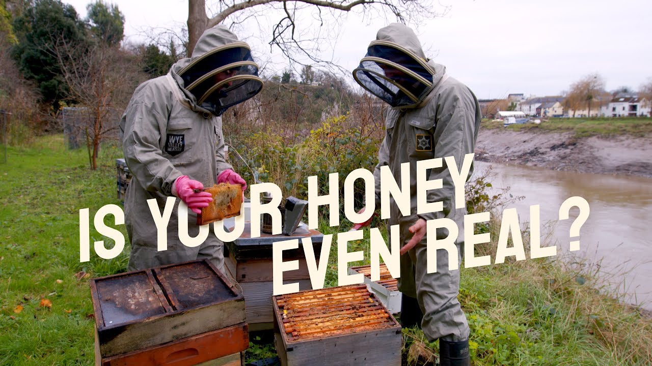 How It’s Mead | Episode 1 | Hive checks & counterfeit honey