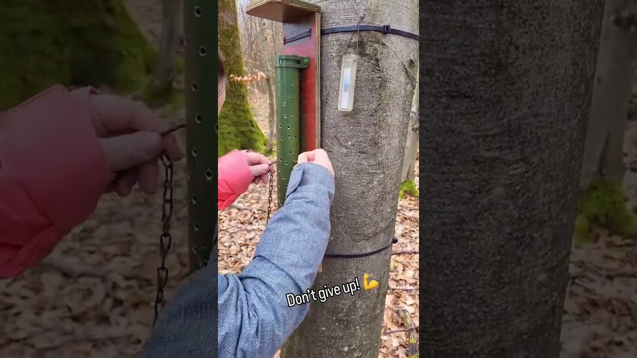 🔄 Geocache loading&hellip; please wait. 🔄 #geocache #geocaching