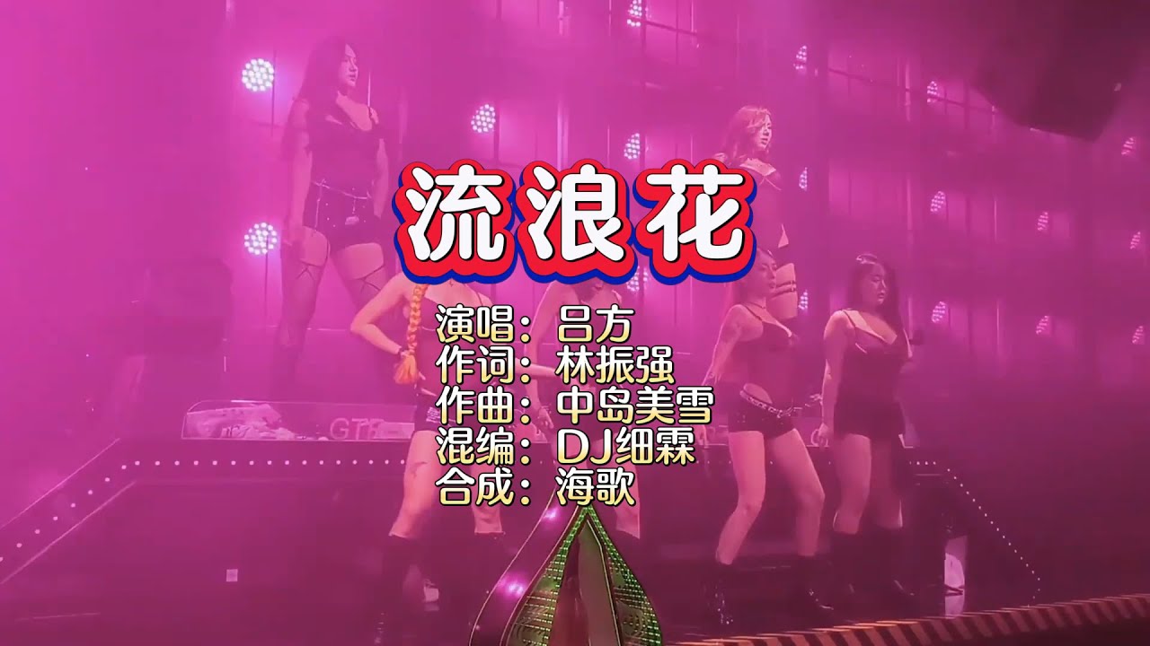 吕方《流浪花》DJ细霖 ProgHouse Mix KTV 导唱字幕 （备有伴奏视频）