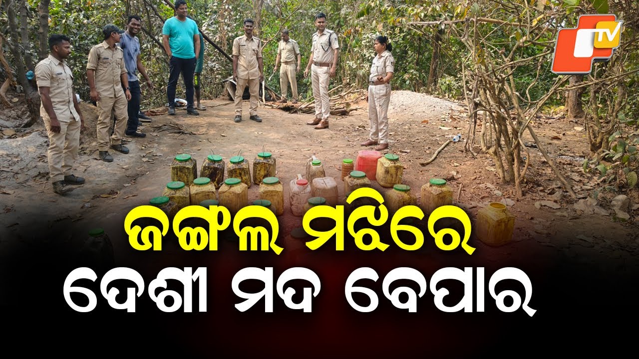 Illicit Country Liquor Trade Busted Inside Dense Forests of Cuttack, Police Raid Destroys Huge Stock