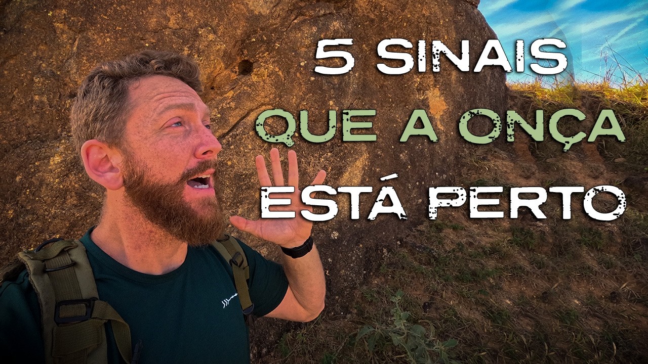 5 Sinais que Antecedem a Chegada de um Predador