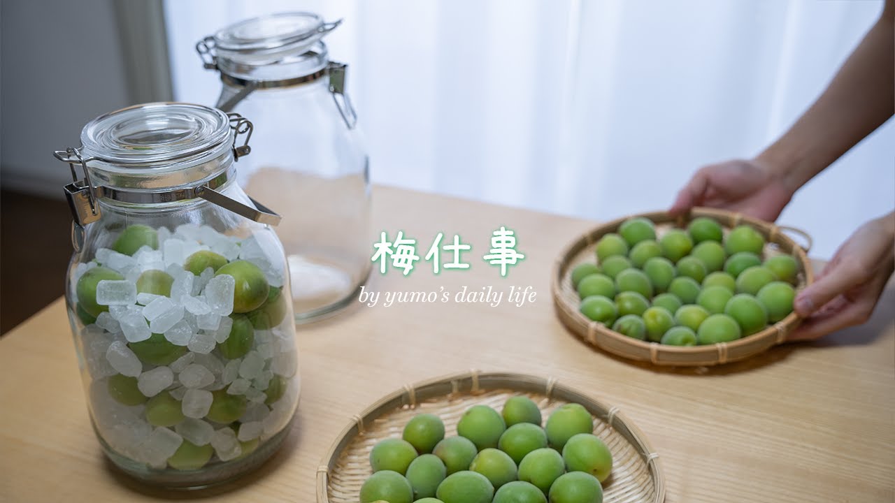 【丁寧な暮らし】2023年の梅仕事｜梅シロップ｜梅酒｜梅のコンポート｜暮らしのvlog