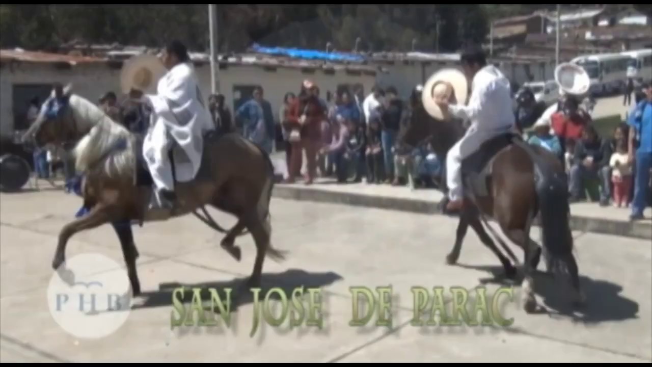 CABALLOS DE PASO EN PARAC  --  PHB  --