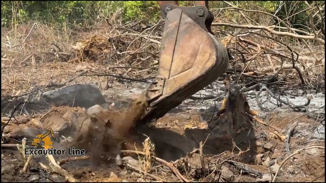 the digger clears the wood with a skilled craftsman