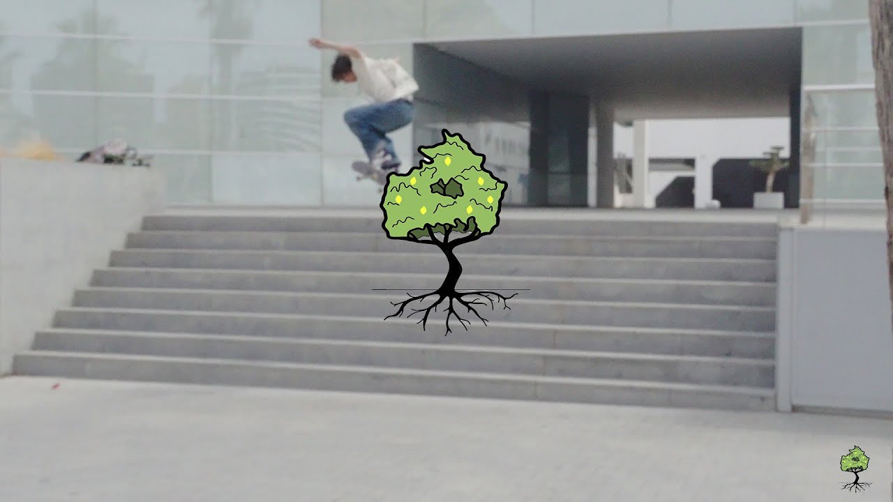 Chill Skate Alicante