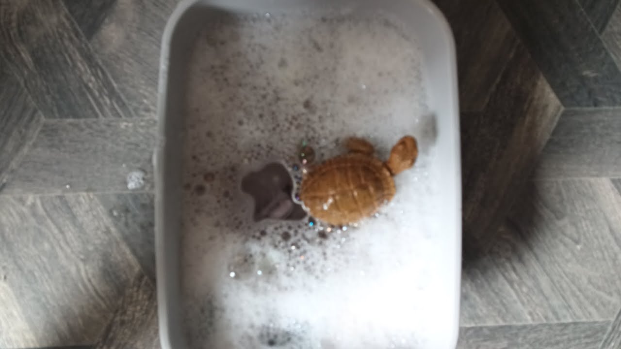 Amazing local charity shop pickups Manchester gorton