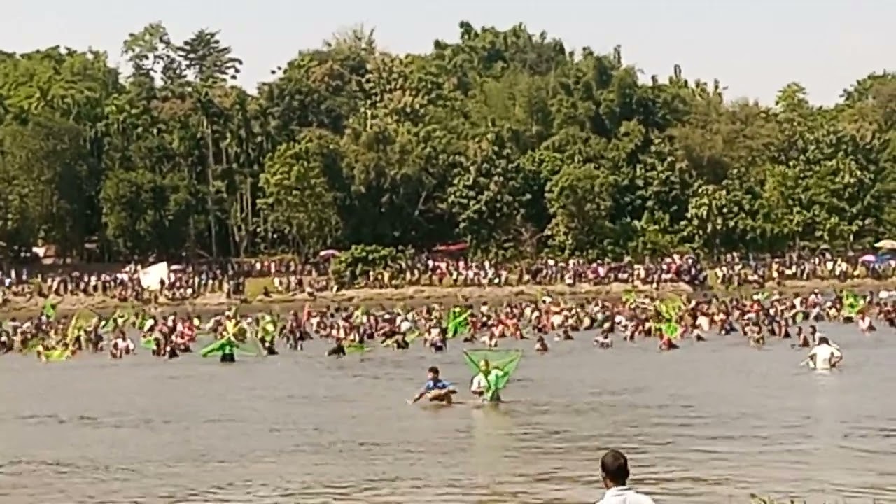 Selsella nangribil