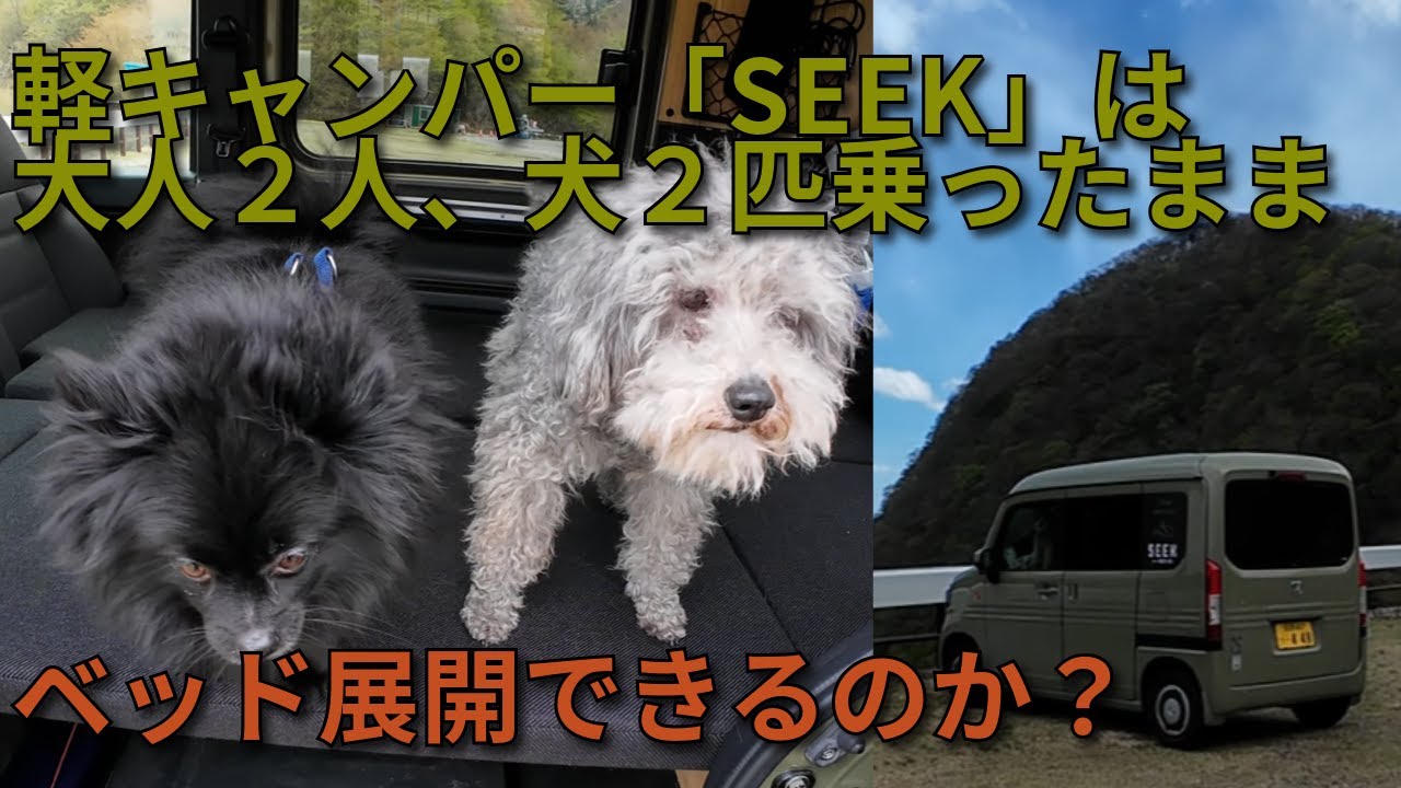【軽キャン】N-VANベースの軽キャンパー「SEEK」は、大人２人、犬２匹乗ったままベッド展開できるのかチャンレンジしてみた。