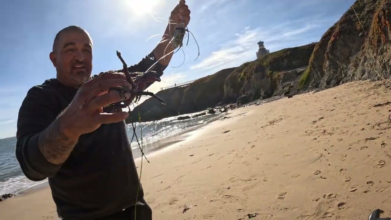Pigeon Point Lighthouse Crabbing