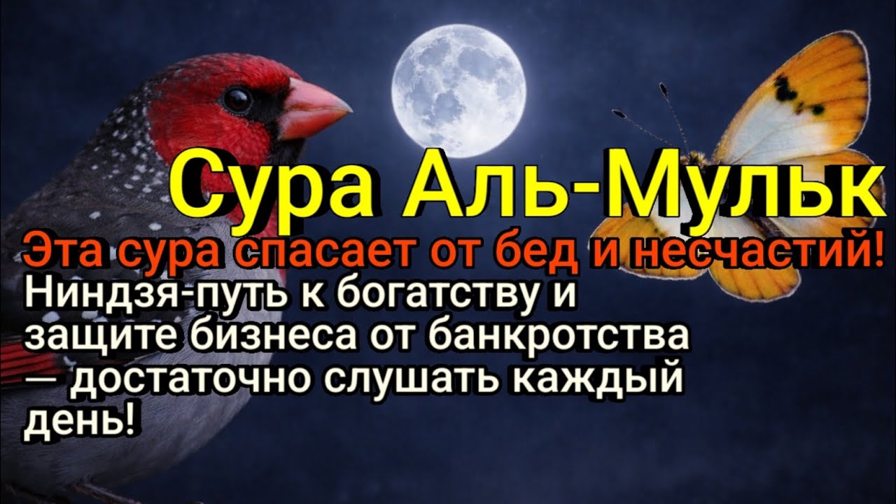 Секретный ниндзя-путь к богатству и мощной защите бизнеса от банкротства 