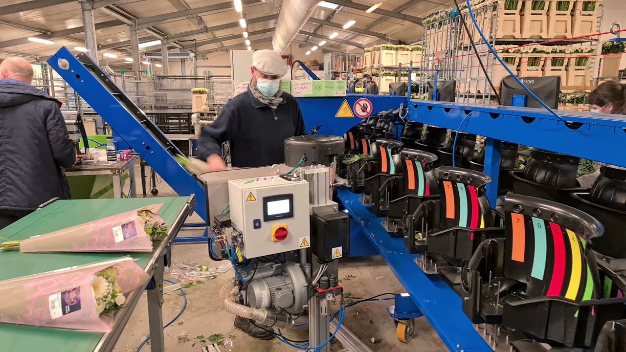 Sleeving machine for bouquets