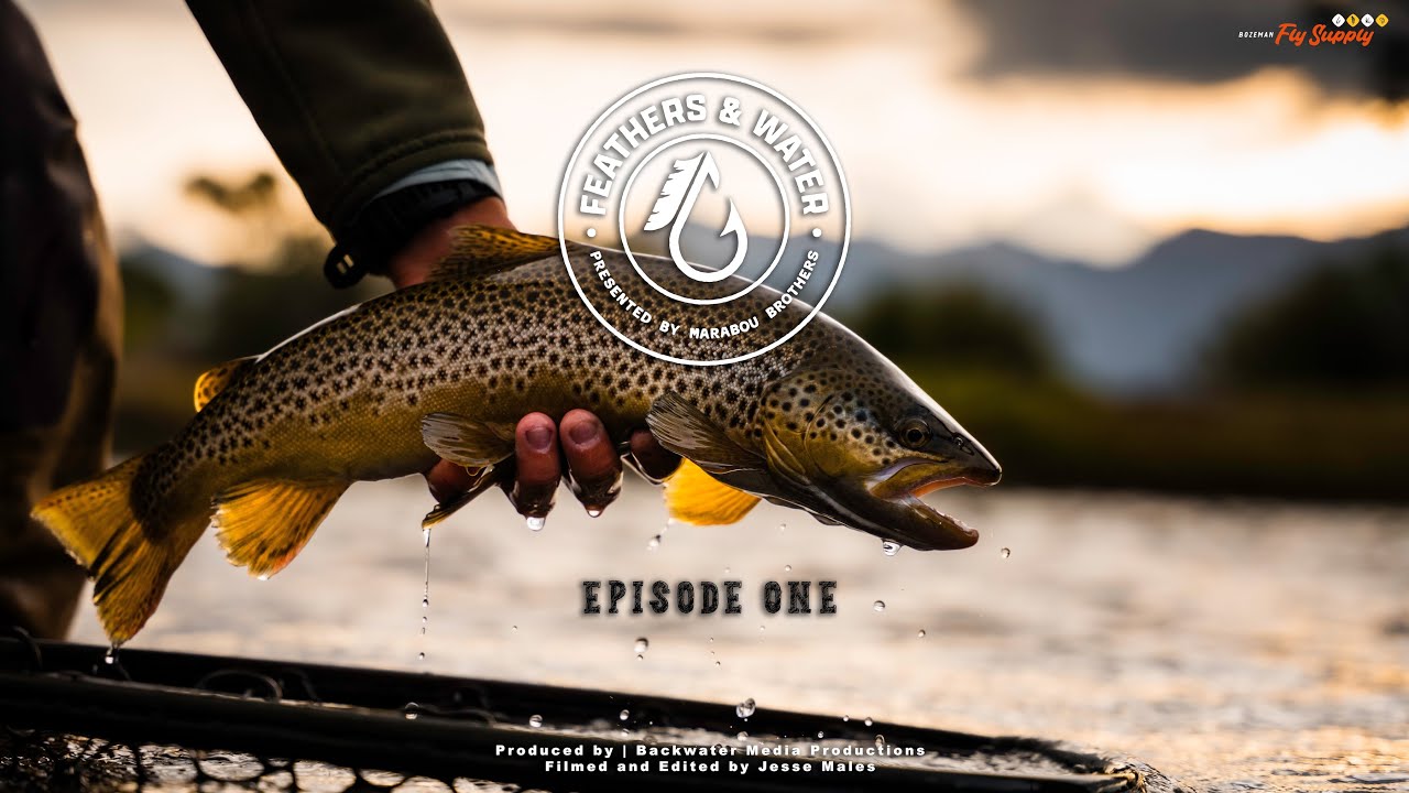 Feathers and Water - Episode One | Presented by Marabou Brothers