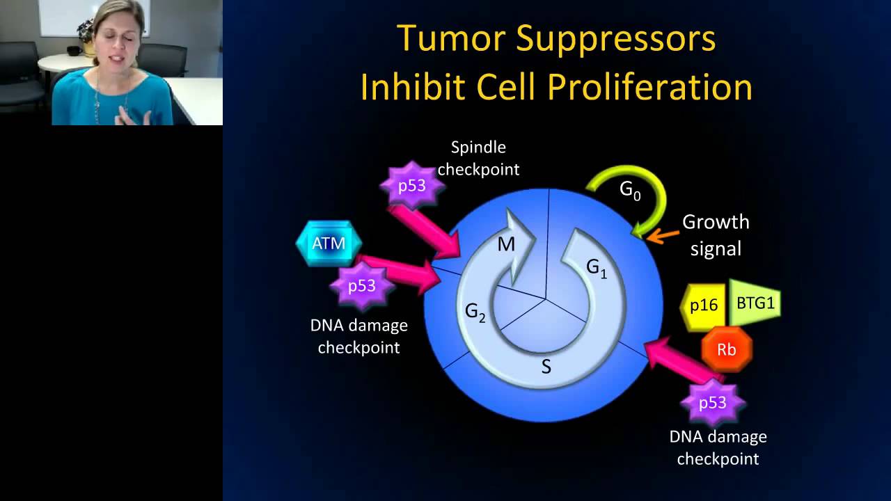 Kristin Landis-Piwowar - Molecular Diagnostics in Detection, Diagnosis, and Prognosis of Cancer
