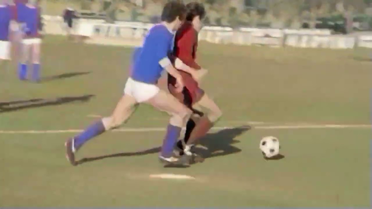 Verso il cinquantenario dello scudetto 75-76: Torino-Verona 4-2 A COLORI
