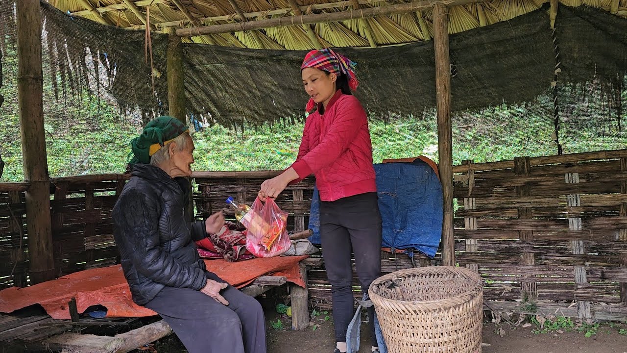 Kind-Hearted Girl Helps Poor Elderly Woman Repair Her Dilapidated Bamboo House