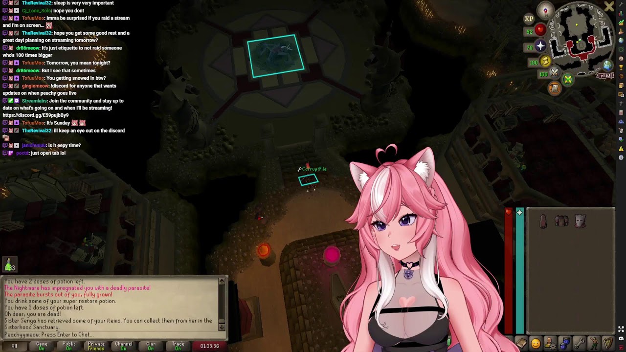 CAN WE JUST END PHOSANI ALREADY? ~ NEW MODEL, SAME CAT