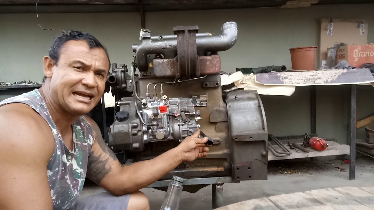 Motor  Mwm 229