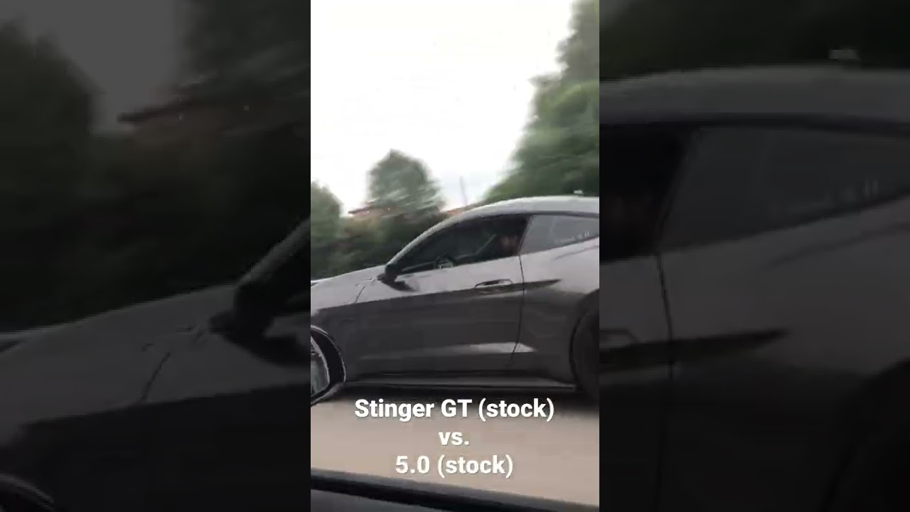 Stock Kia stinger GT VS. stock mustang 5.0  #atlanta #racing #fyp