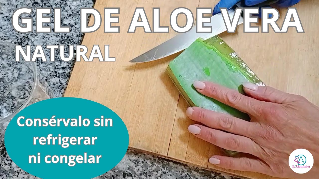 Cómo CONSERVAR EL GEL NATURAL DE ALOE VERA o SABILA para la piel  /COSMÉTICA CASERA/ L' Alquímica ☘️