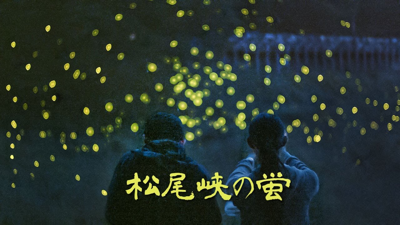 月夜の蛍 長野県松尾峡 5000匹の蛍の乱舞 - Fireflies in the moonlight - (shot on BMPCC4K)