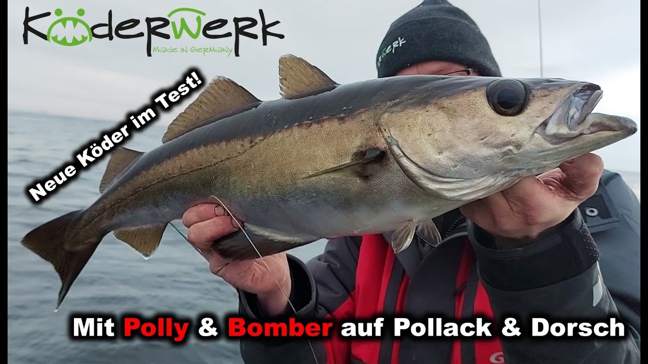 Mit Gummi auf Pollack und Dorsch - Norwegenangeln auf Froja/Titran